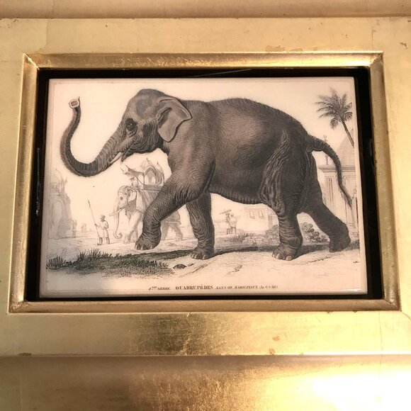 Antique Gold Framed 19th Century Elephant Print - Picture 2 of 7